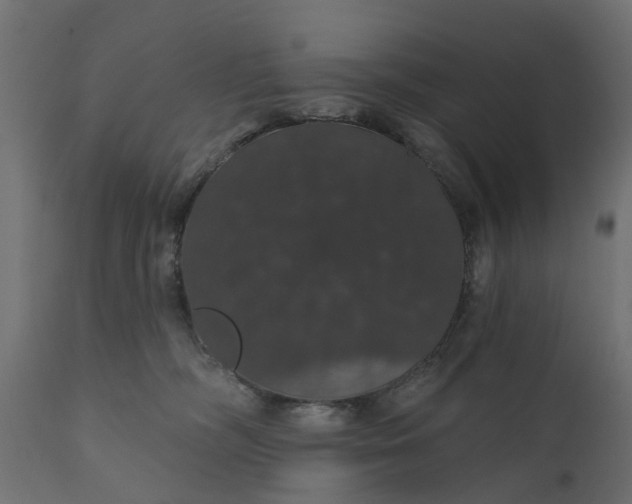 X0000110700326200906261414