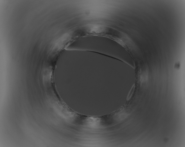 X0000110700328200906261414