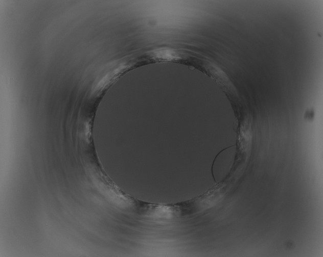 X0000110700330200906261414