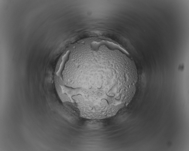 X0000110700331200906261414