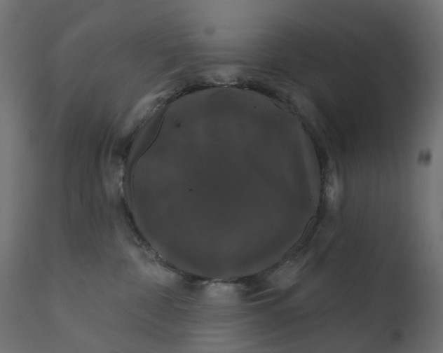 X0000110700332200906261414