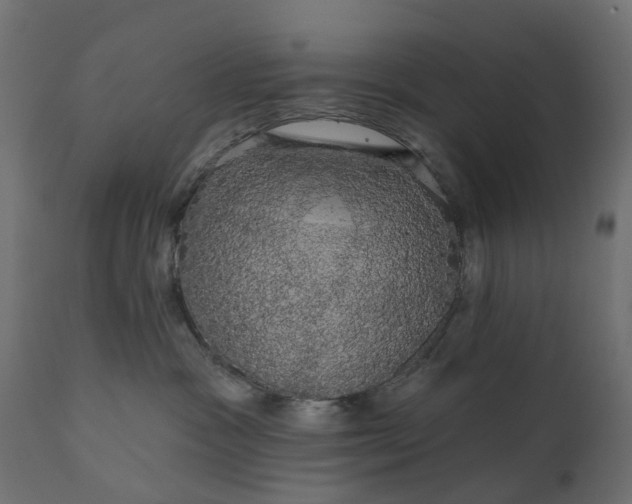 X0000110700333200906261414