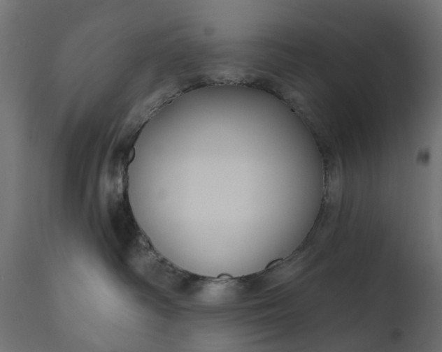 X0000110700334200906261414