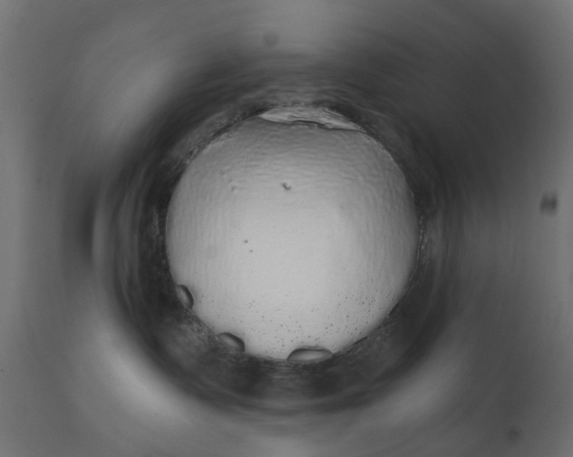 X0000110700335200906261414