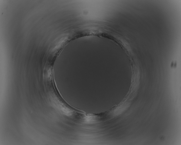 X0000110700336200906261414