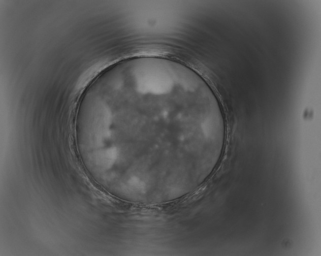 X0000110700337200906261413