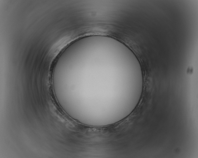 X0000110700338200906261413