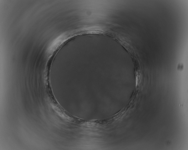 X0000110700339200906261413