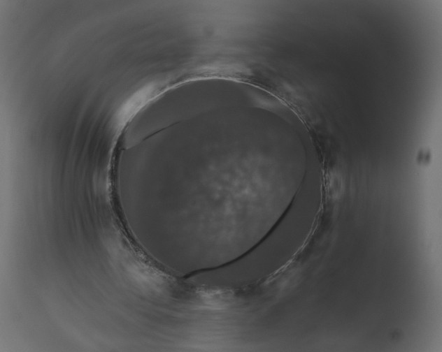 X0000110700340200906261413