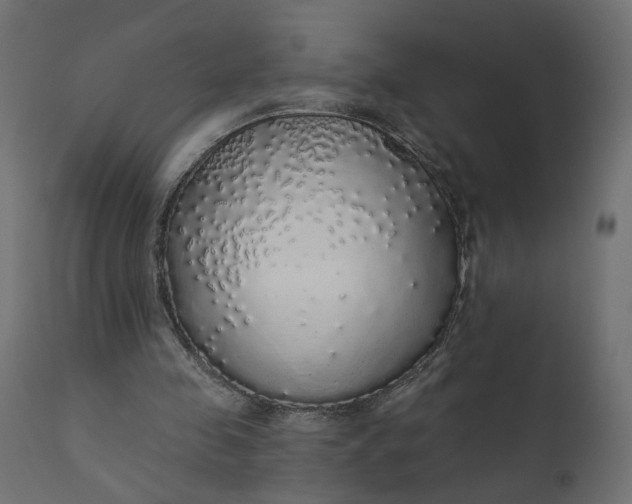 X0000110700341200906261413