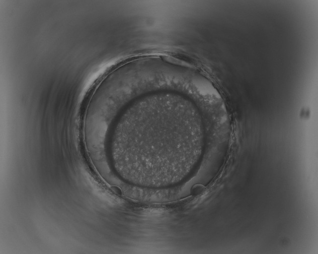 X0000110700342200906261413