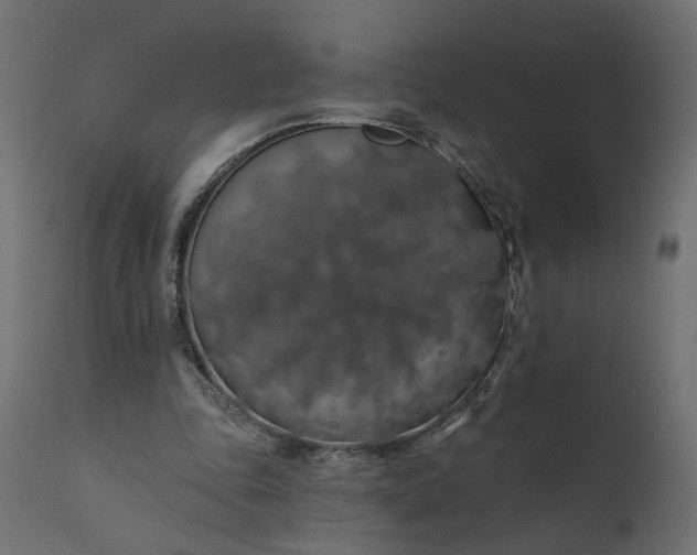 X0000110700343200906261413