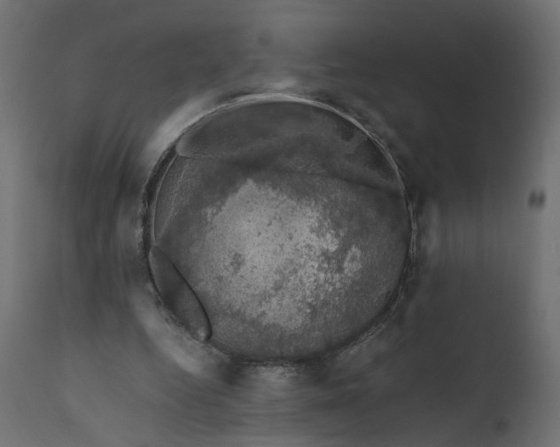 X0000110700344200906261413