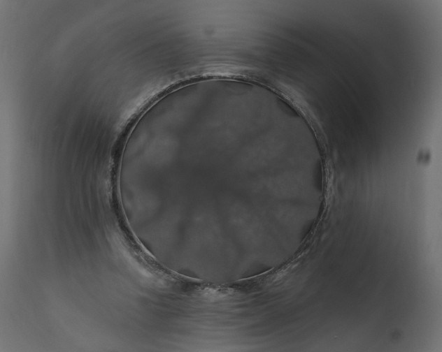 X0000110700346200906261413