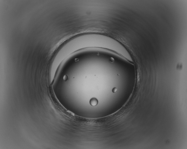 X0000110700348200906261413