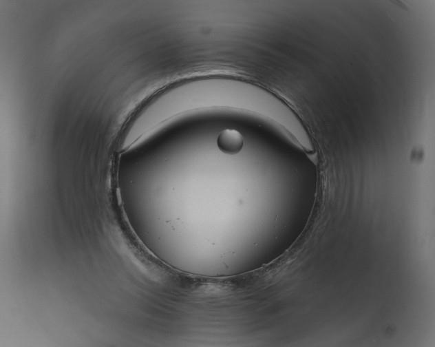 X0000110700350200906261413