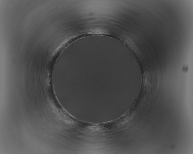 X0000110700351200906261413