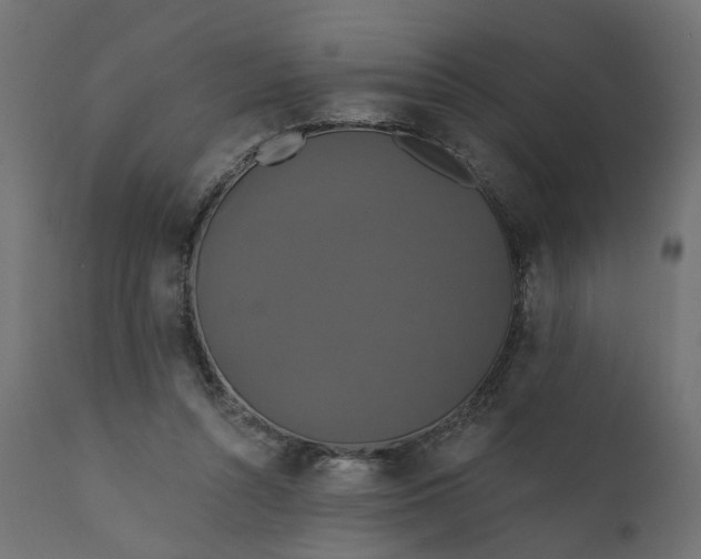 X0000110700352200906261413