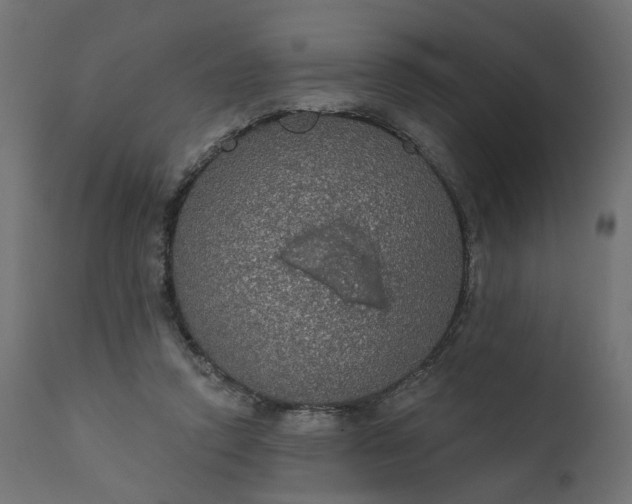 X0000110700354200906261413