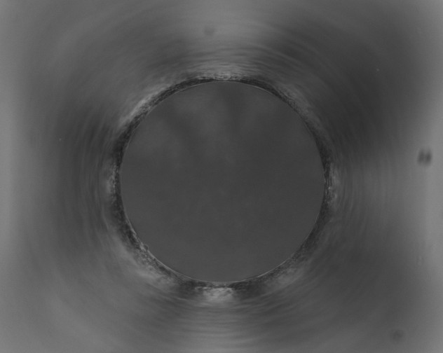 X0000110700355200906261413