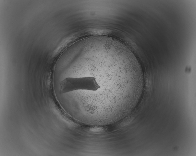 X0000110700357200906261413