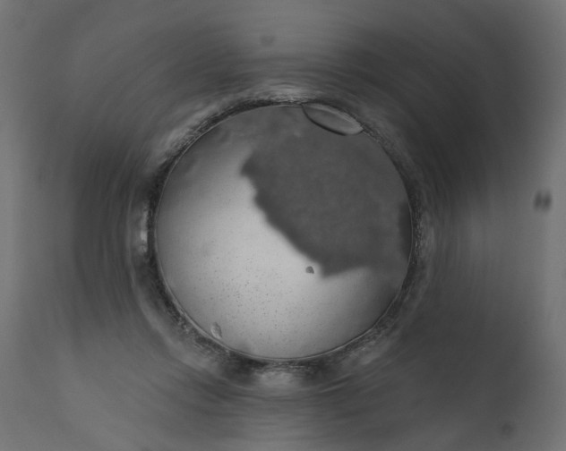 X0000110700358200906261413