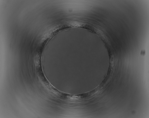 X0000110700359200906261413