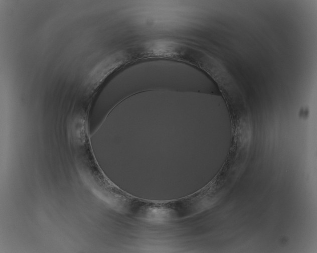 X0000110700360200906261413