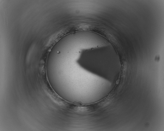 X0000110700361200906261413