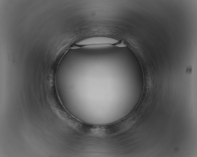 X0000110700362200906261413