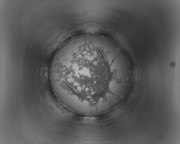 X0000110700363200906261413