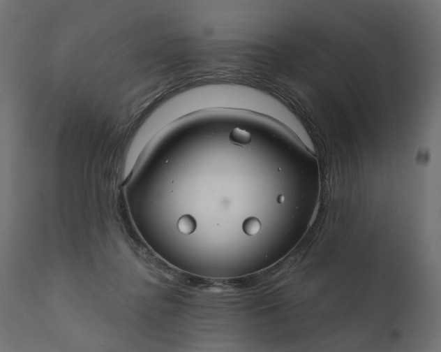 X0000110700364200906261413