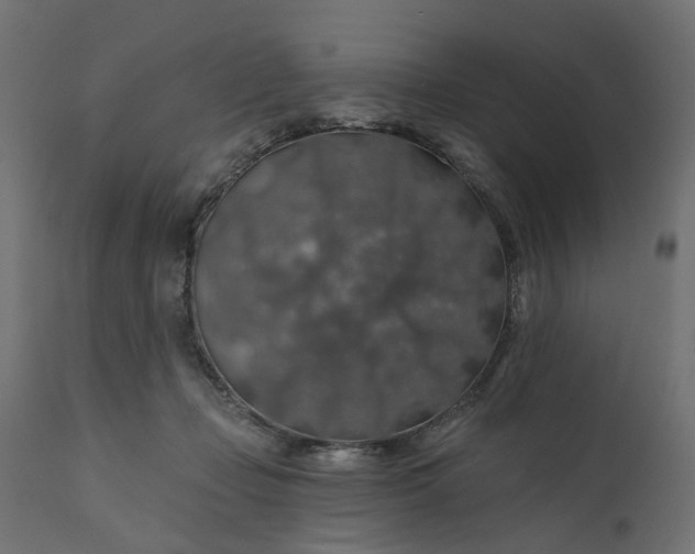 X0000110700365200906261413