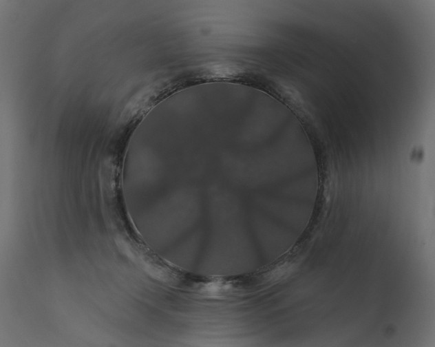 X0000110700366200906261413