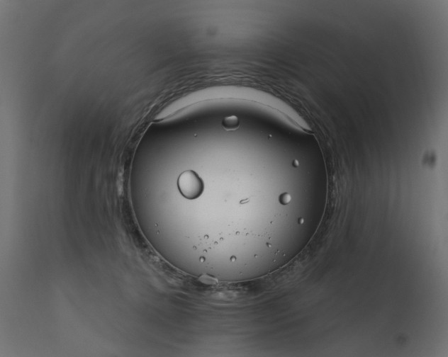 X0000110700368200906261413