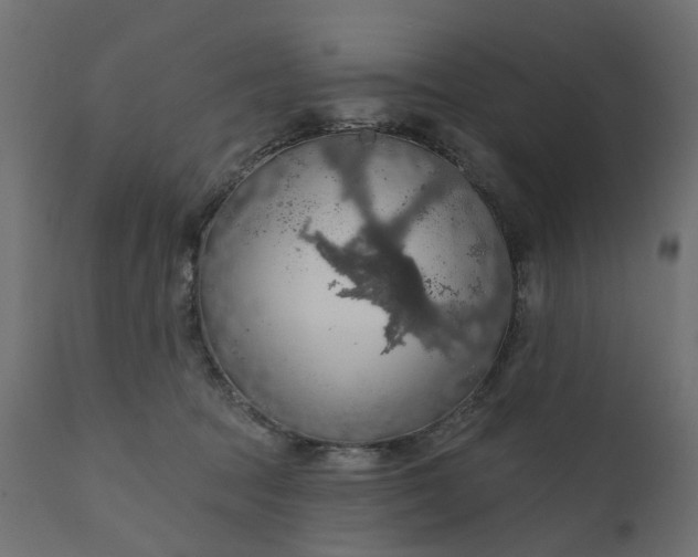 X0000110700369200906261413