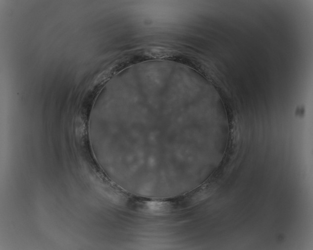 X0000110700371200906261413