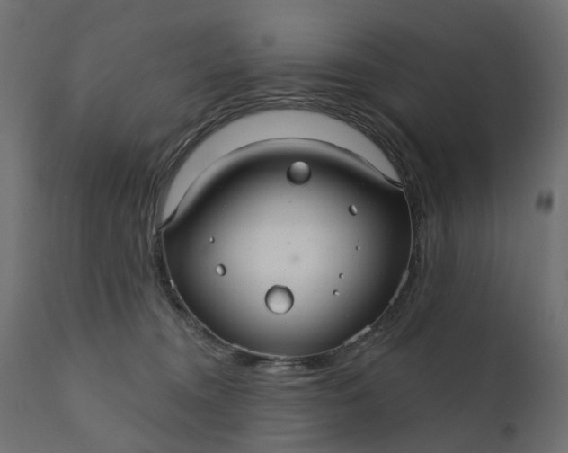 X0000110700372200906261413