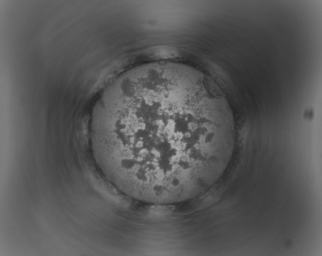 X0000110700373200906261413