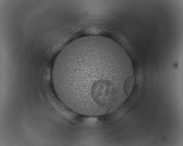 X0000110700374200906261413