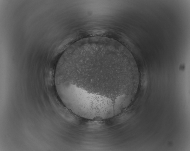 X0000110700378200906261413