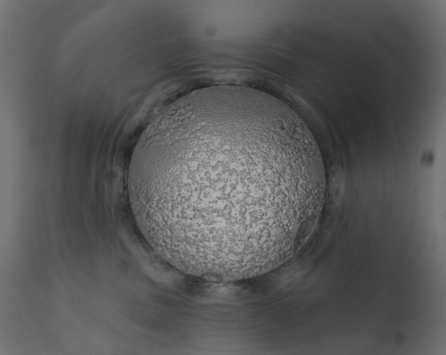 X0000110700379200906261414