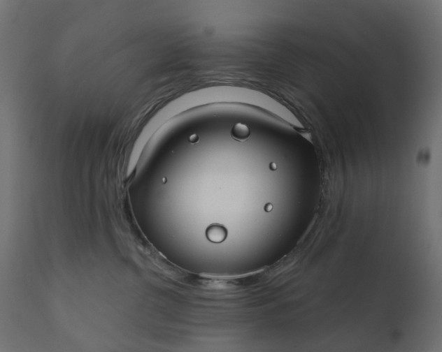 X0000110700380200906261414