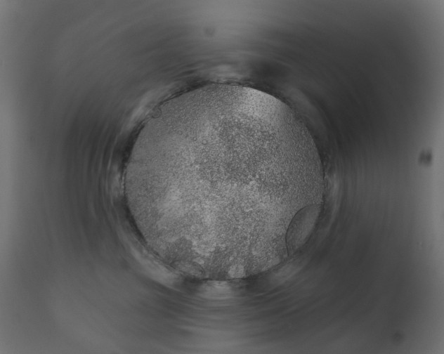 X0000110700381200906261414