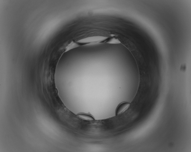 X0000110700382200906261414