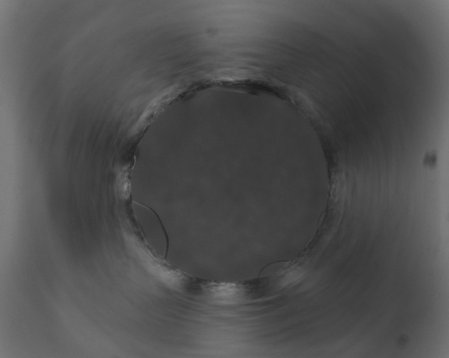 X0000110700383200906261414