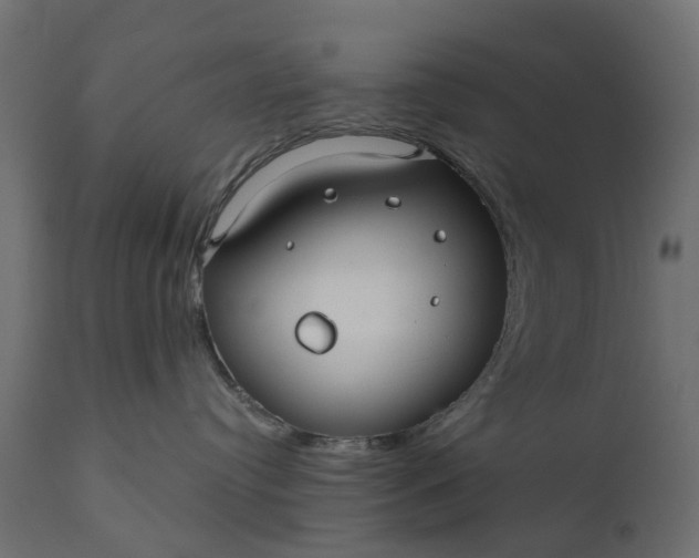 X0000110700384200906261414