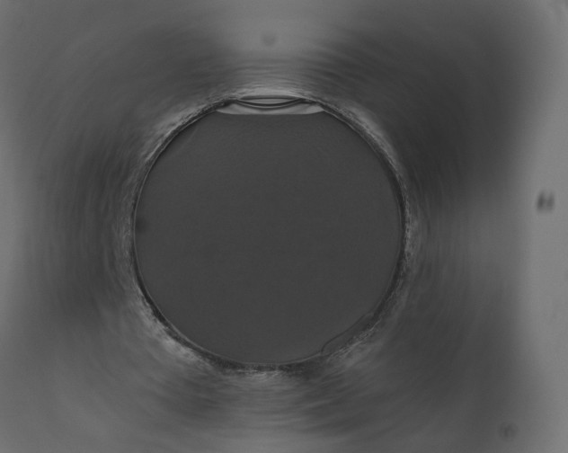 X0000110700385200906261413