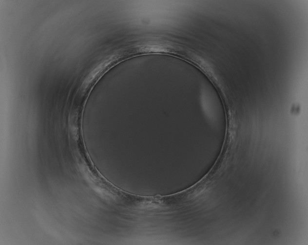 X0000110700386200906261413