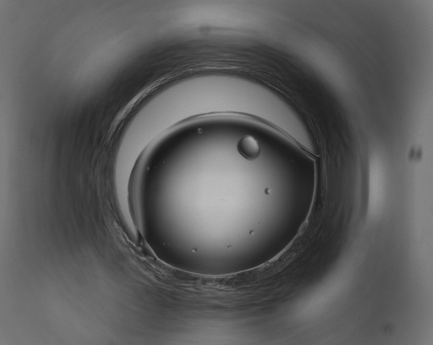 X0000110700387200906261413